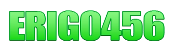 Logo ERIGO456